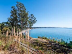 Photo of Atlantis Properties Photo of Atlantis Properties