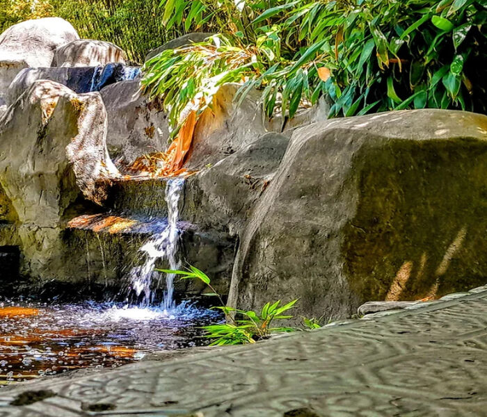 Photo of Bamboo Giant Nursery & Gardens Photo of Bamboo Giant Nursery & Gardens