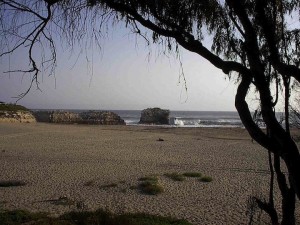 Natural Bridges State Park