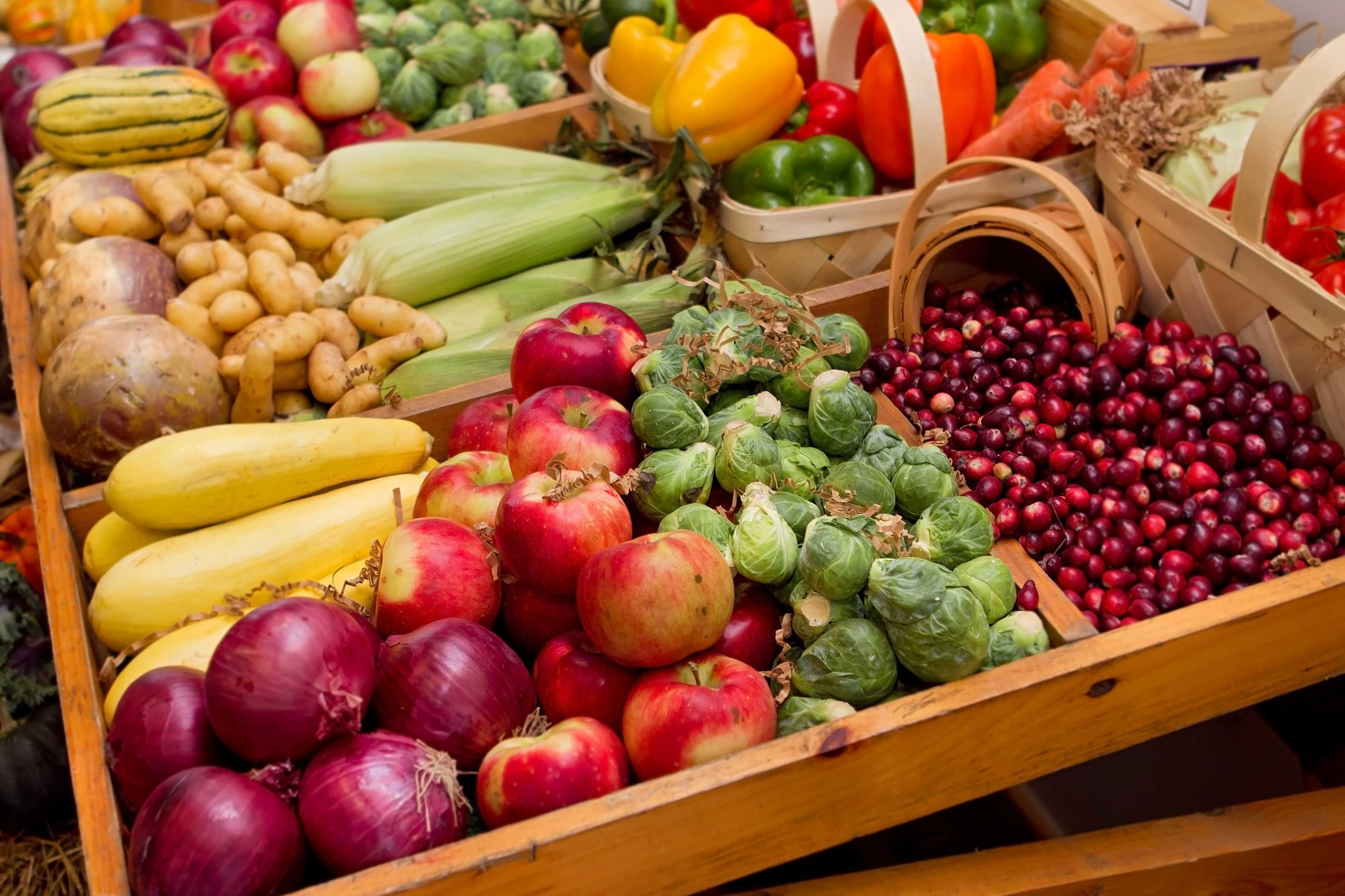 bigstock-Fall-Harvest-Vegetables-30778901 - COASTAL HOME & GARDEN